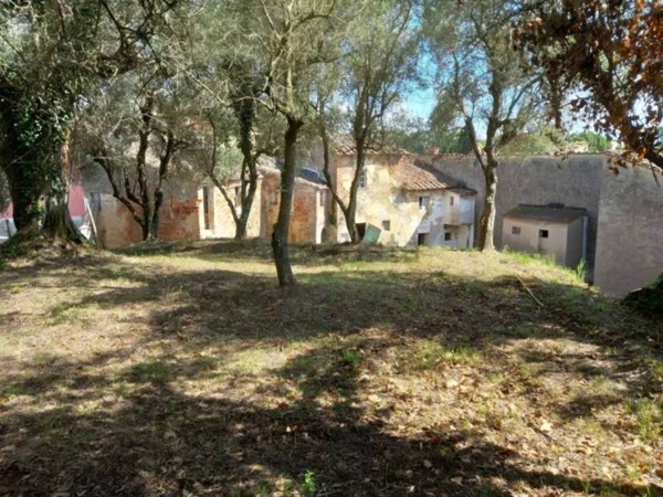 casa indipendente in vendita a Crespina Lorenzana in zona Lorenzana