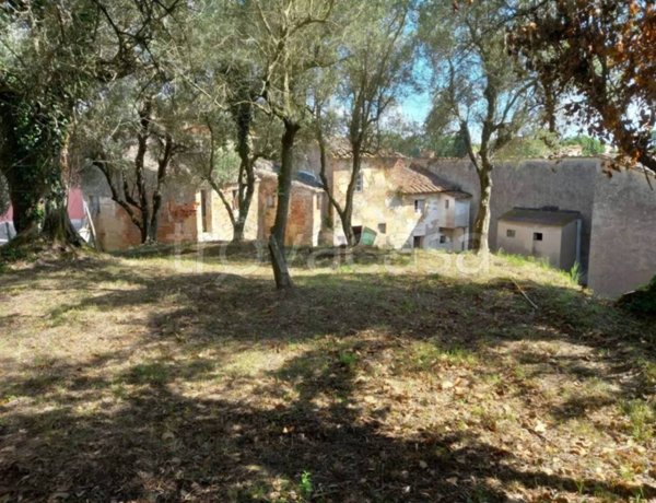 appartamento in vendita a Crespina Lorenzana