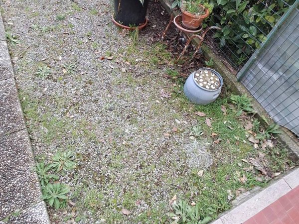 casa indipendente in vendita a Crespina Lorenzana in zona Lavoria