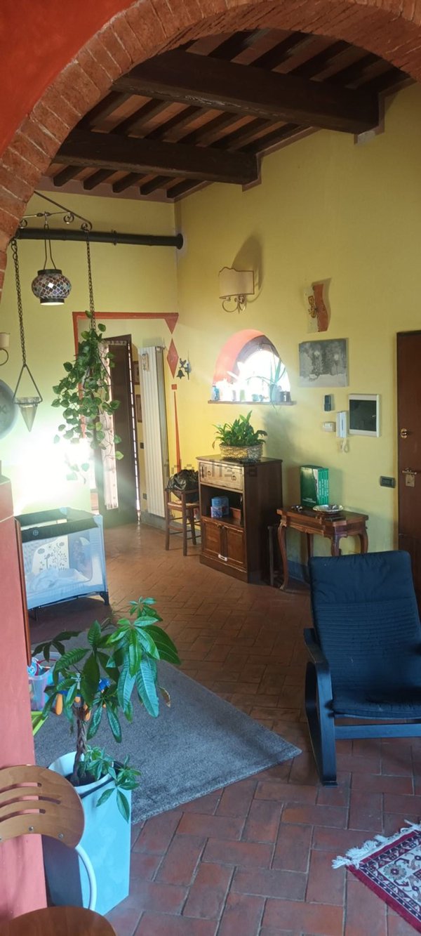 esavano in vendita a Crespina Lorenzana