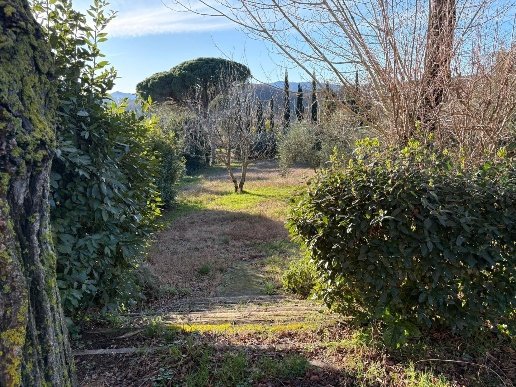 casa indipendente in vendita a Crespina Lorenzana in zona Lorenzana