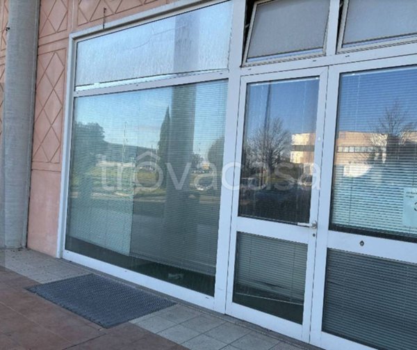 negozio in vendita a Crespina Lorenzana in zona Cenaia