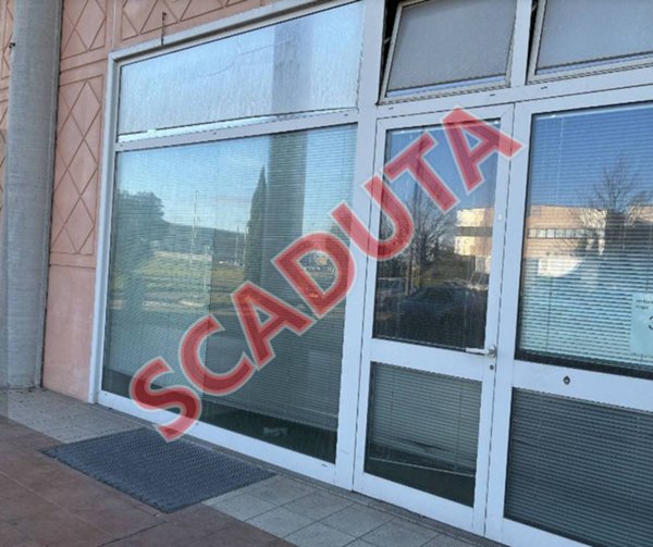 negozio in vendita a Crespina Lorenzana in zona Cenaia