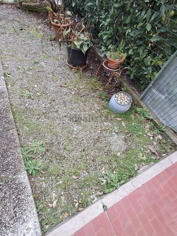 casa indipendente in vendita a Crespina Lorenzana in zona Lavoria