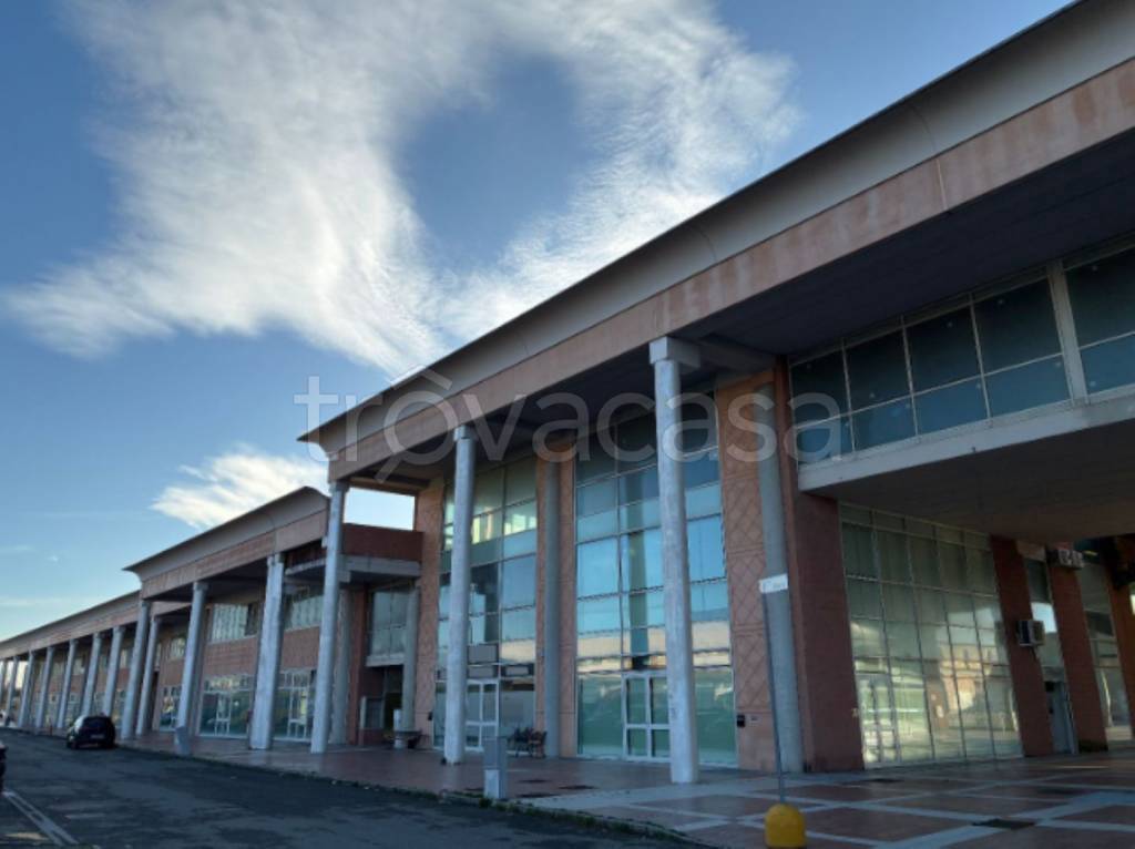 pentavano in vendita a Crespina Lorenzana in zona Lavoria