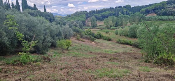 terreno agricolo in vendita a Crespina Lorenzana in zona Crespina