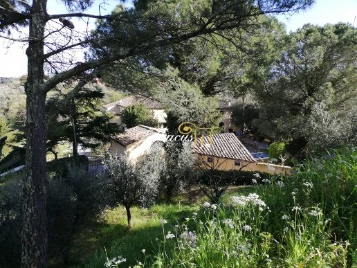 casa indipendente in vendita a Crespina Lorenzana in zona Tripalle