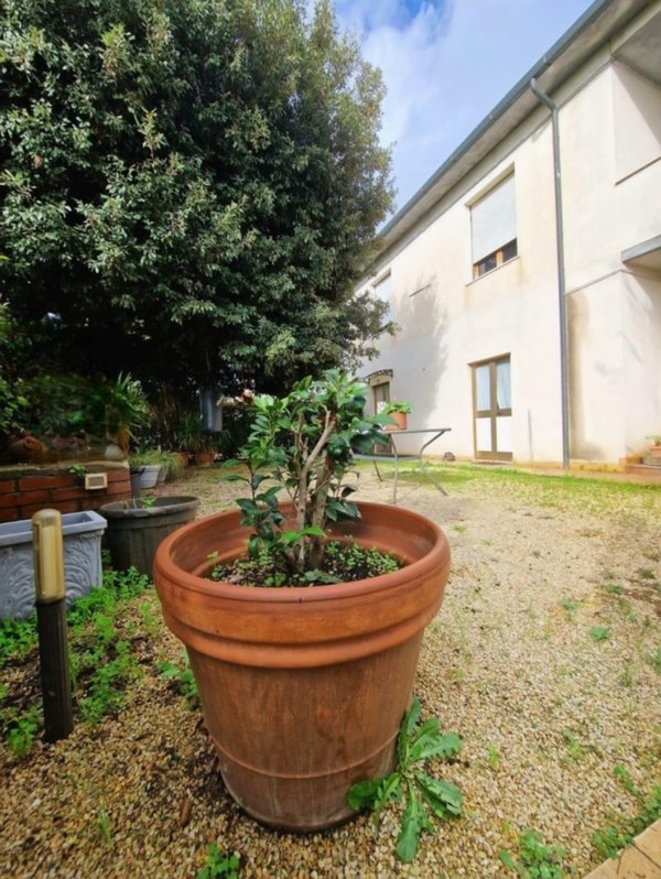 casa indipendente in vendita a Crespina Lorenzana in zona Lavoria