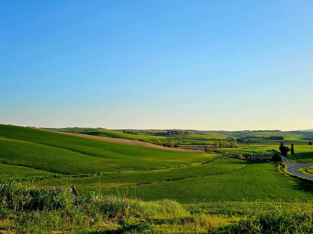 casa indipendente in vendita a Crespina Lorenzana in zona Lorenzana