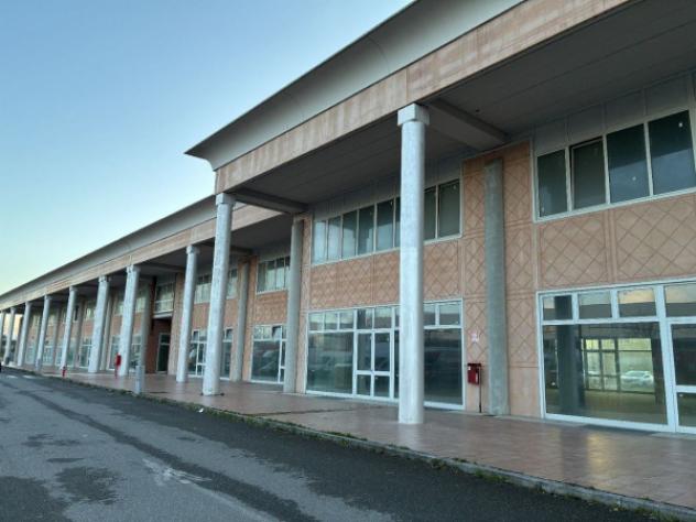 pentavano in vendita a Crespina Lorenzana in zona Crespina