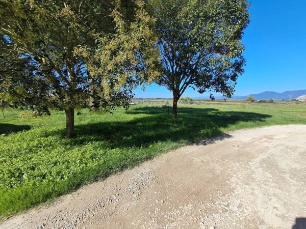 casa indipendente in vendita a Crespina Lorenzana in zona Crespina