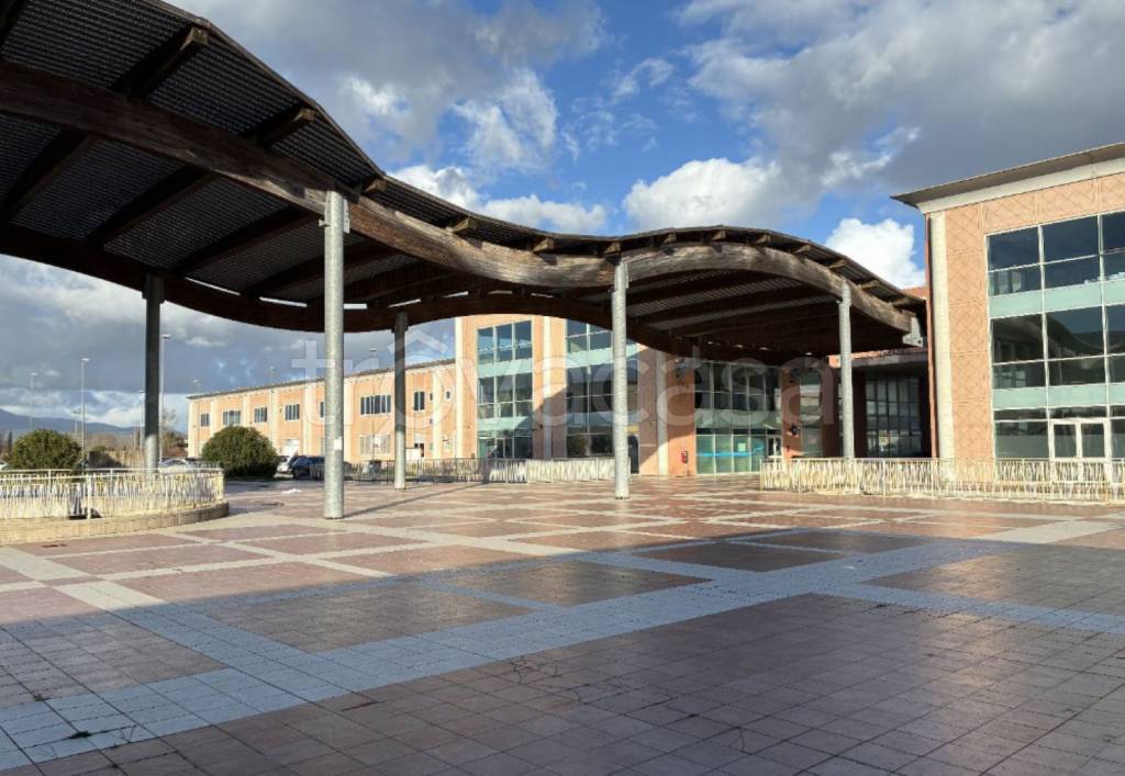 pentavano in vendita a Crespina Lorenzana in zona Lorenzana