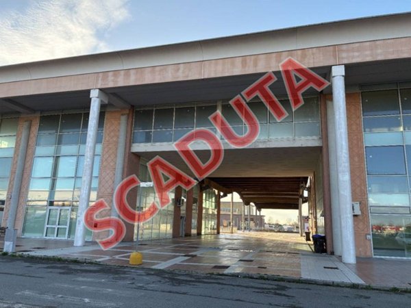 pentavano in vendita a Crespina Lorenzana in zona Crespina