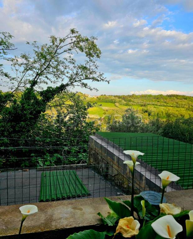 casa indipendente in vendita a Crespina Lorenzana in zona Lorenzana