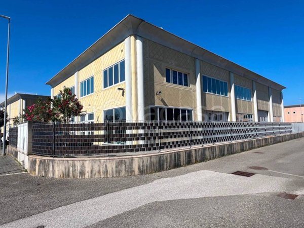 appartamento in vendita a Crespina Lorenzana in zona Lavoria