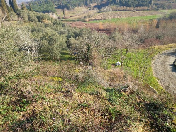 terreno in vendita a Crespina Lorenzana in zona Crespina