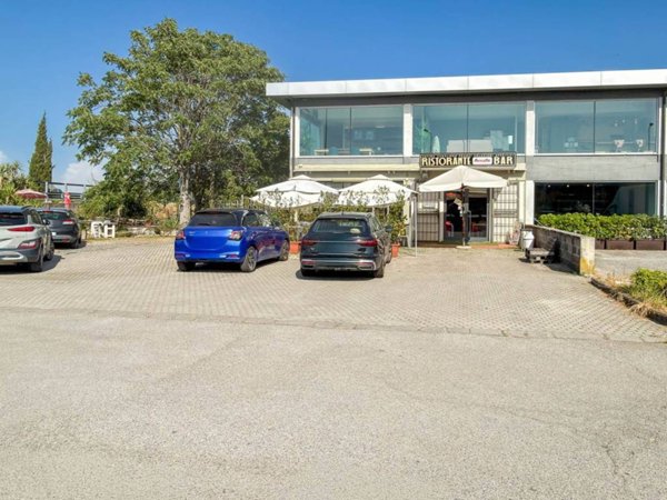 negozio in vendita a Crespina Lorenzana in zona Lavoria