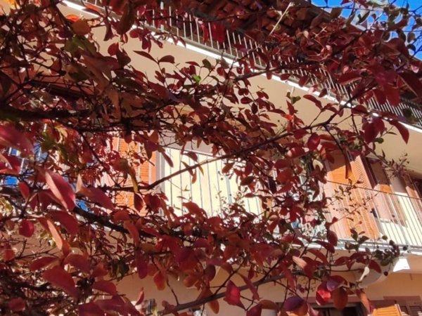 casa indipendente in vendita a Recetto