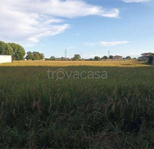 casa indipendente in vendita a Romentino