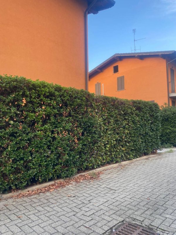 casa indipendente in vendita a Romentino