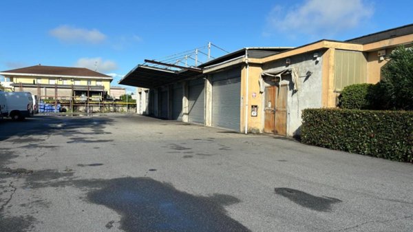 negozio in vendita a San Pietro Mosezzo