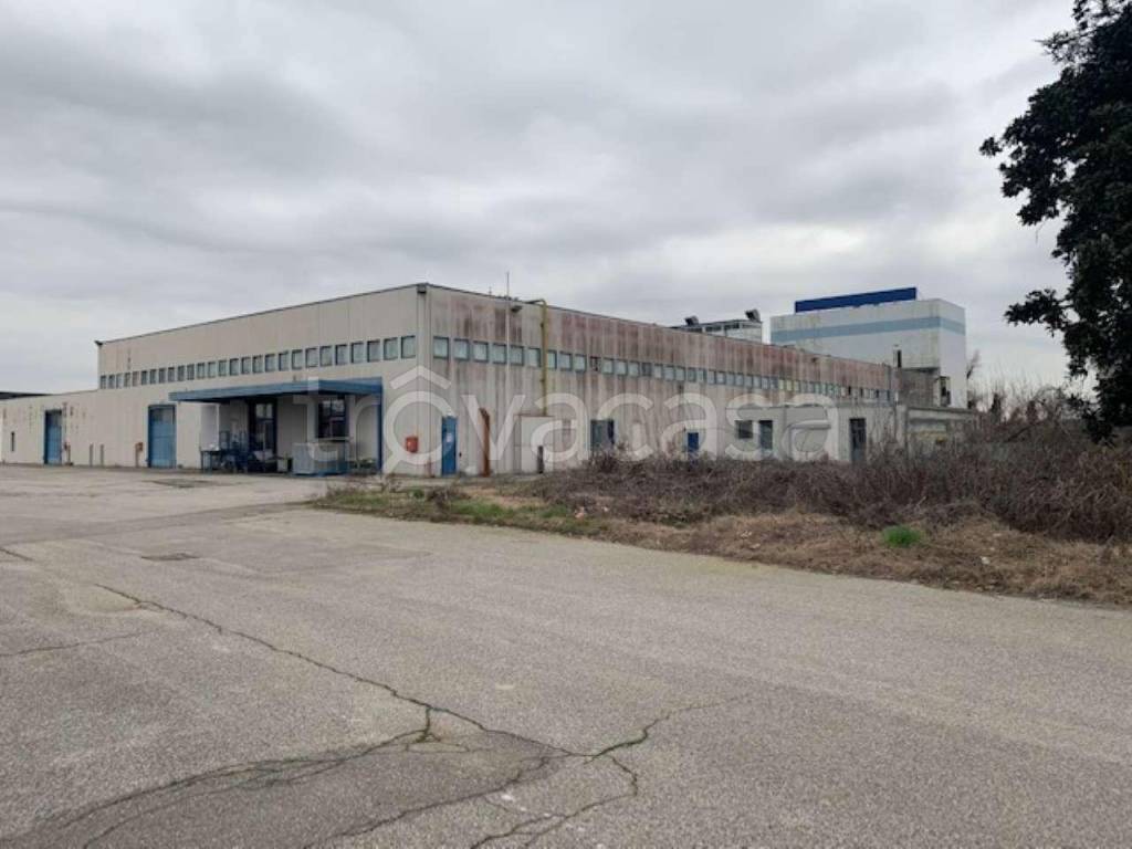 terreno edificabile in vendita a San Pietro Mosezzo