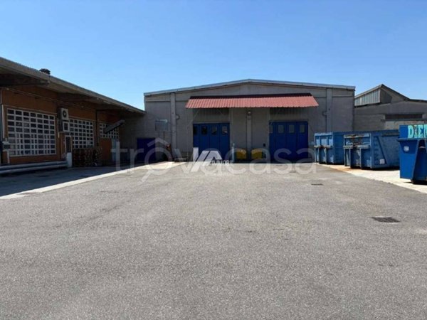 capannone in vendita a San Pietro Mosezzo in zona Mosezzo