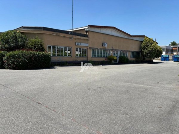 capannone in vendita a San Pietro Mosezzo in zona Mosezzo