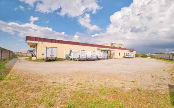 casa indipendente in vendita a San Pietro Mosezzo in zona San Pietro