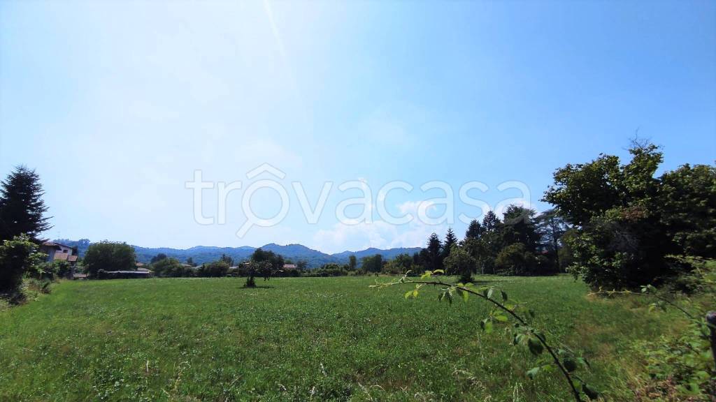 terreno agricolo in vendita a Soriso