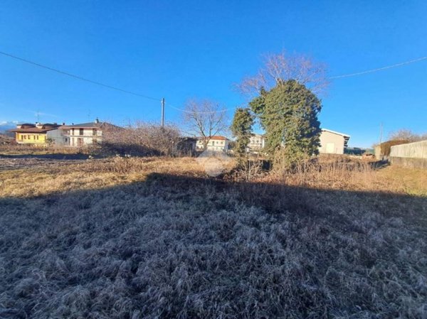 terreno agricolo in vendita a Suno