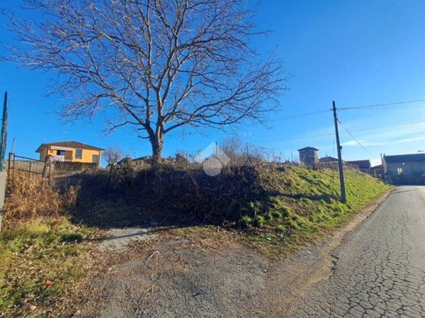 terreno agricolo in vendita a Suno