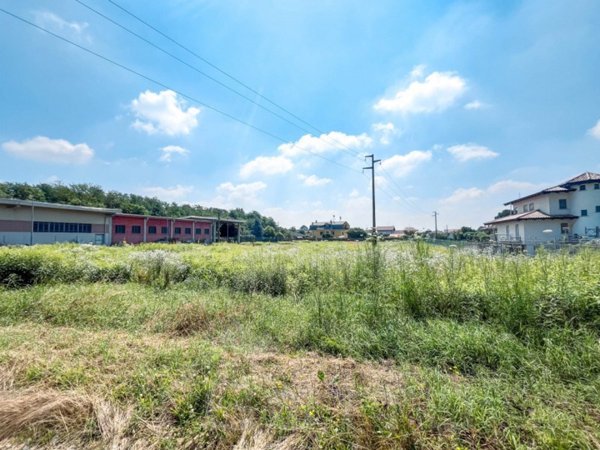 terreno agricolo in vendita a Suno