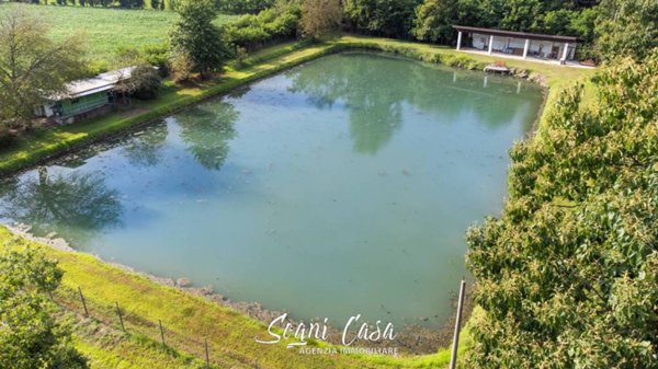 terreno agricolo in vendita a Suno