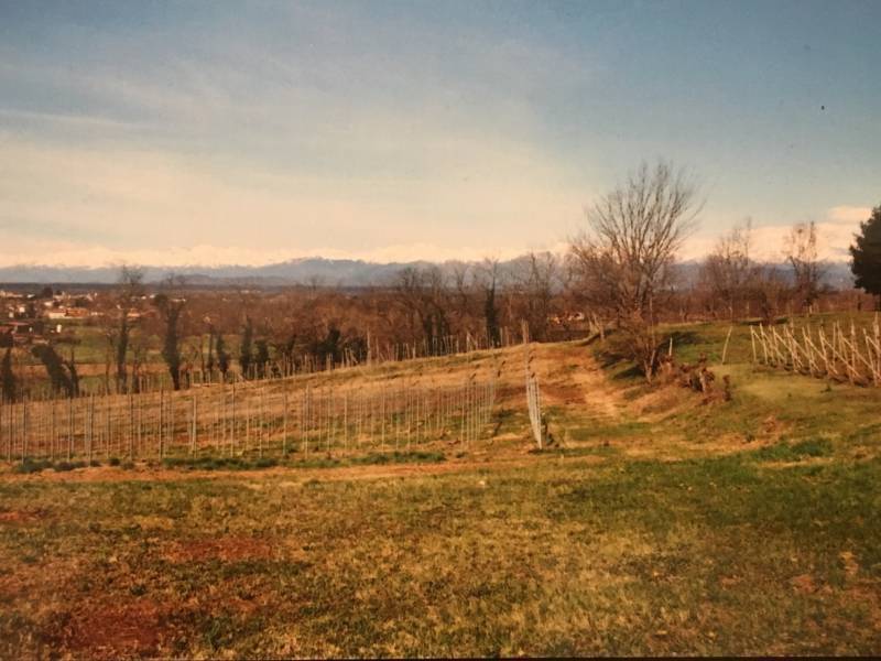 terreno agricolo in vendita a Suno