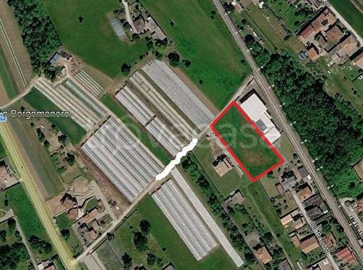 terreno agricolo in vendita a Suno