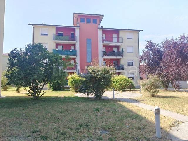 appartamento in vendita a Trecate
