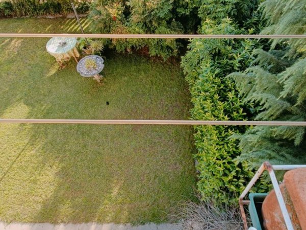 casa indipendente in vendita a Trecate