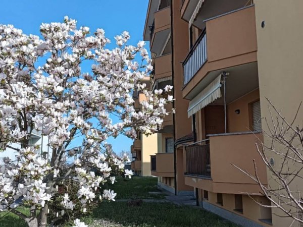 appartamento in vendita a Trecate