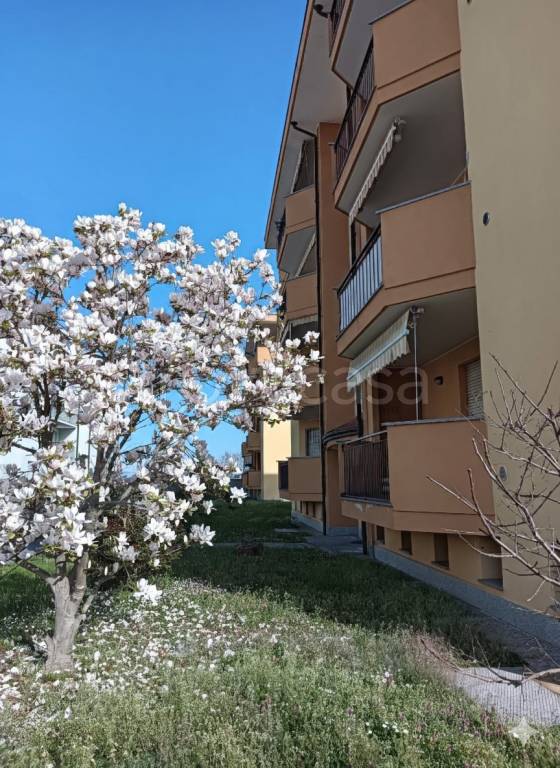 appartamento in vendita a Trecate