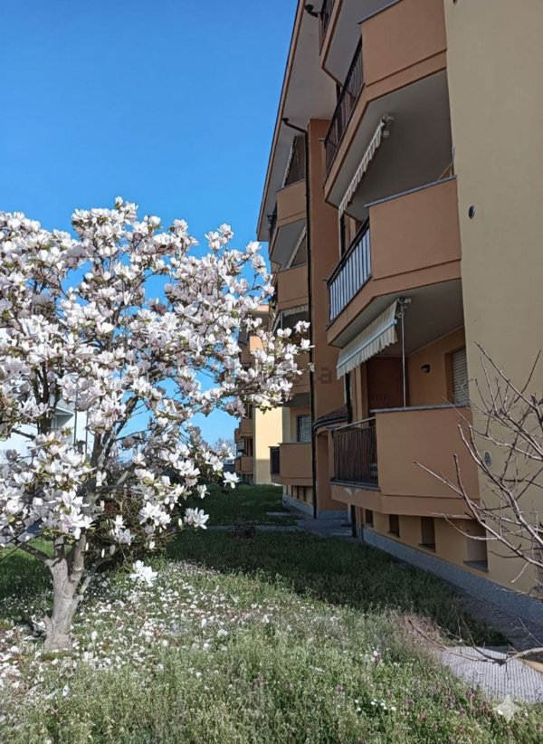 appartamento in vendita a Trecate