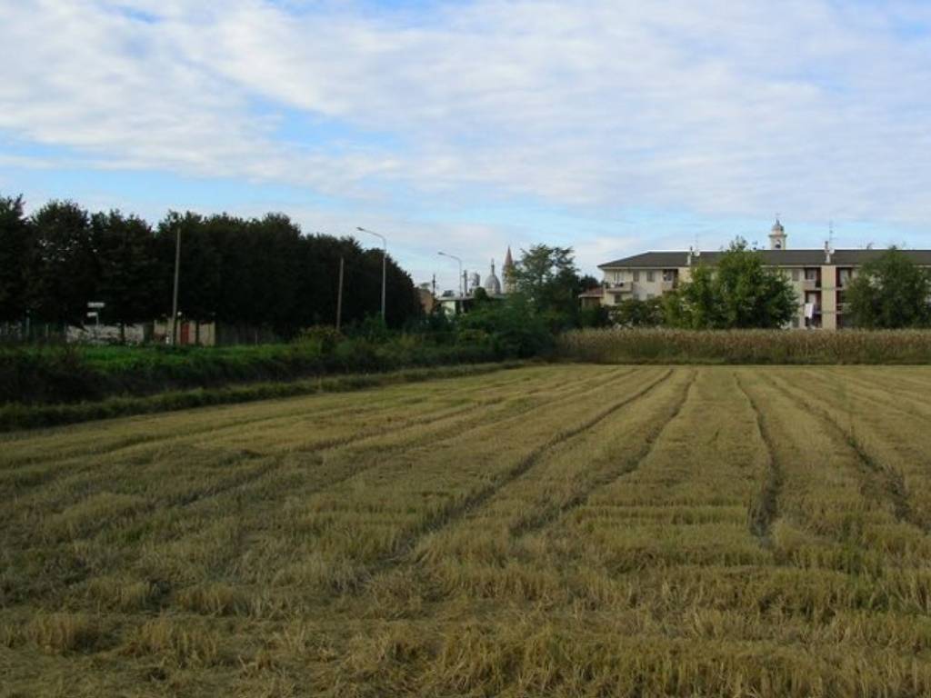terreno agricolo in vendita a Trecate