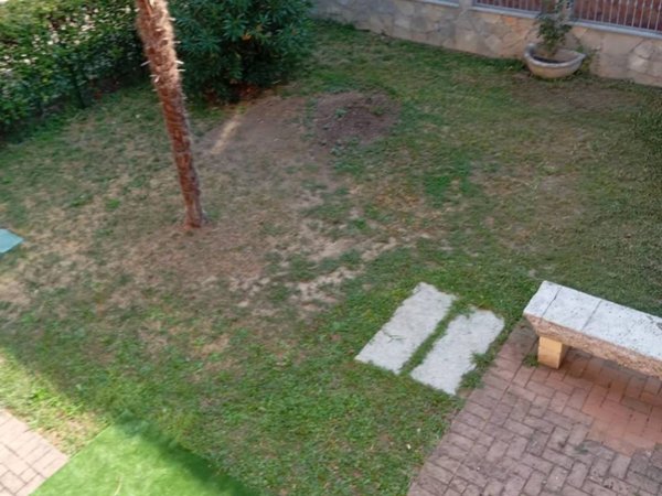 casa indipendente in vendita a Trecate