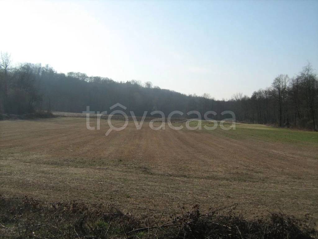 terreno agricolo in vendita a Varallo Pombia