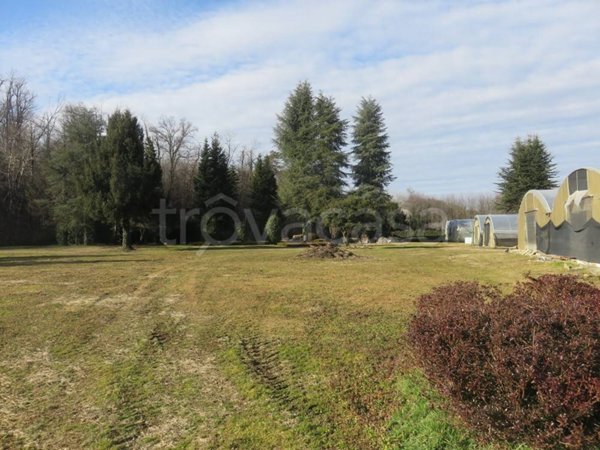 azienda agricola in vendita a Varallo Pombia