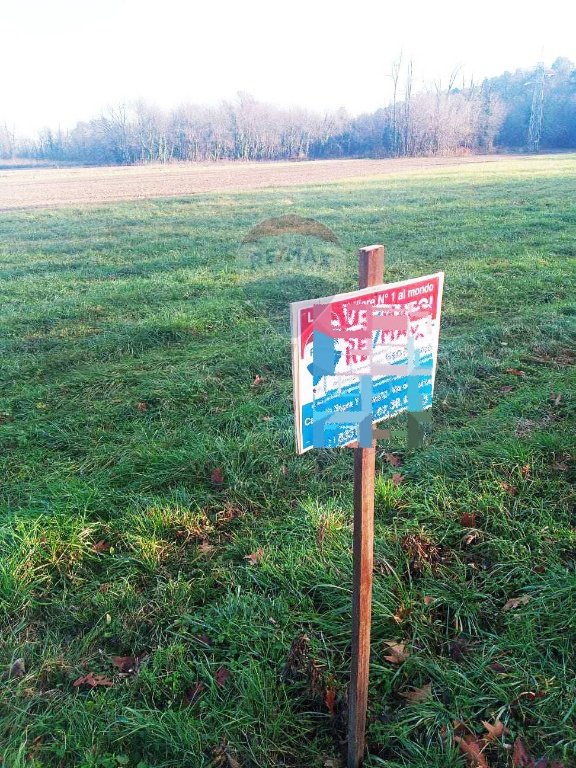terreno agricolo in vendita a Varallo Pombia