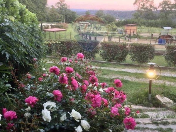 casale in vendita a Varallo Pombia