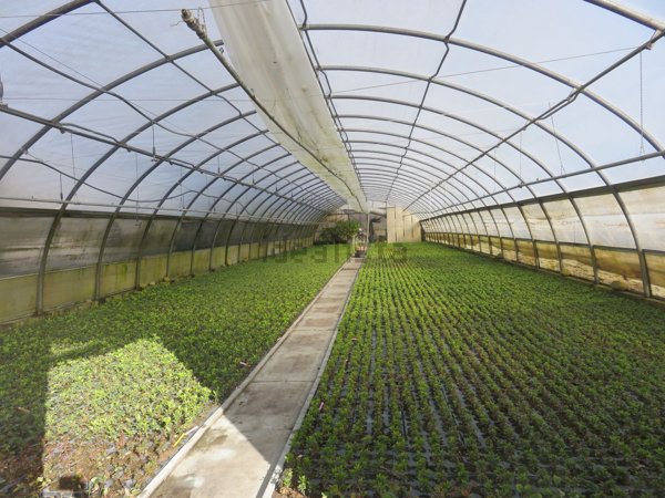 casa indipendente in vendita a Varallo Pombia