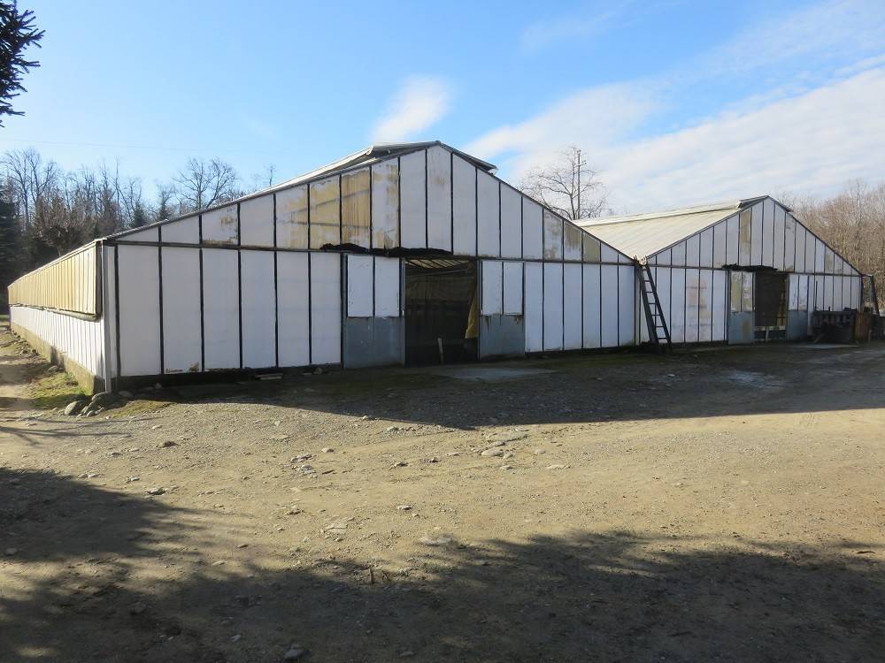 casa indipendente in vendita a Varallo Pombia