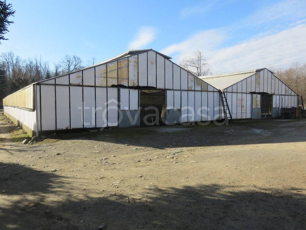 casa indipendente in vendita a Varallo Pombia